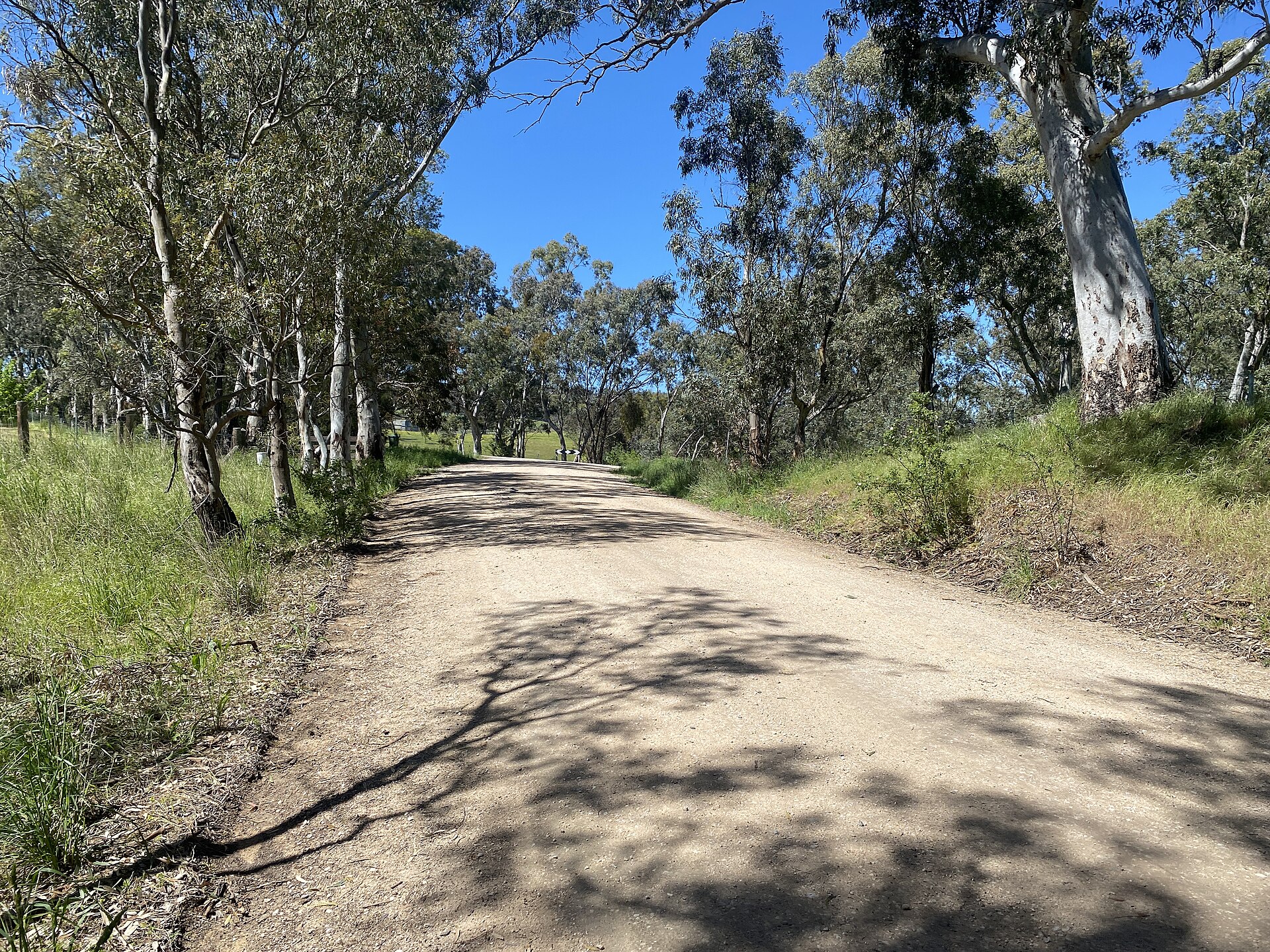 Step into the past: the best heritage experiences in the Adelaide Hills