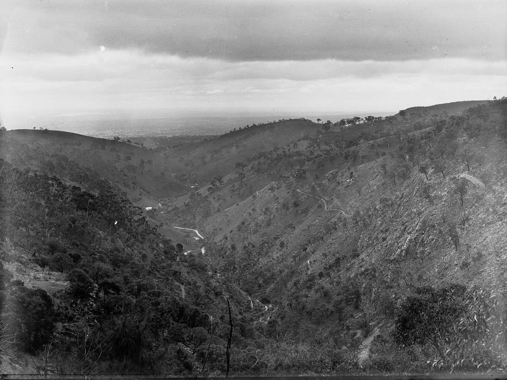 Cleland National Park - Waterfall Gully to Mount Lofty