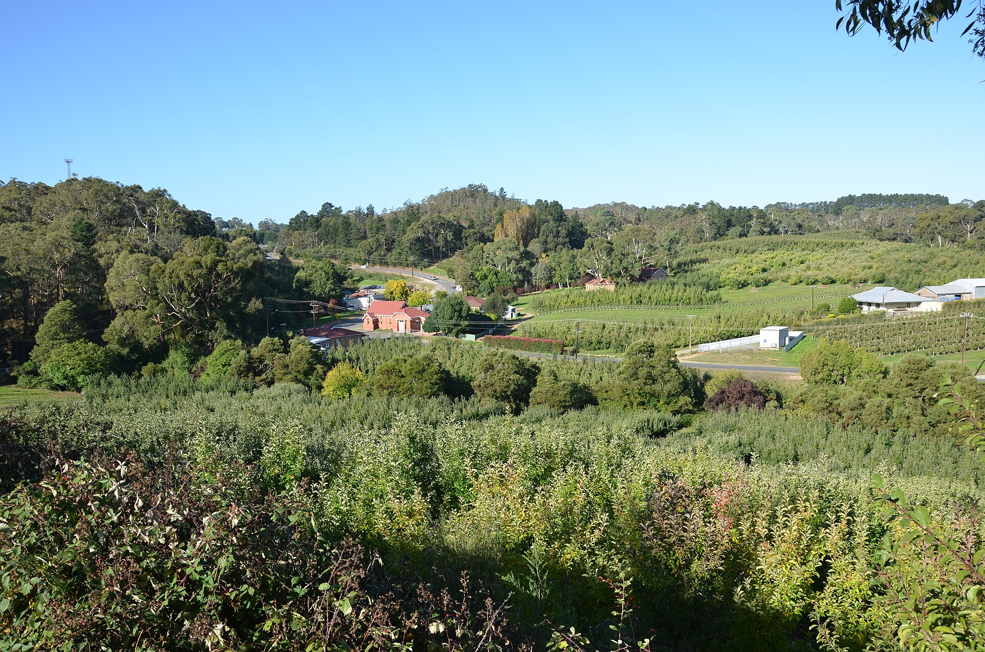 Mount Lofty Ranges Vineyard