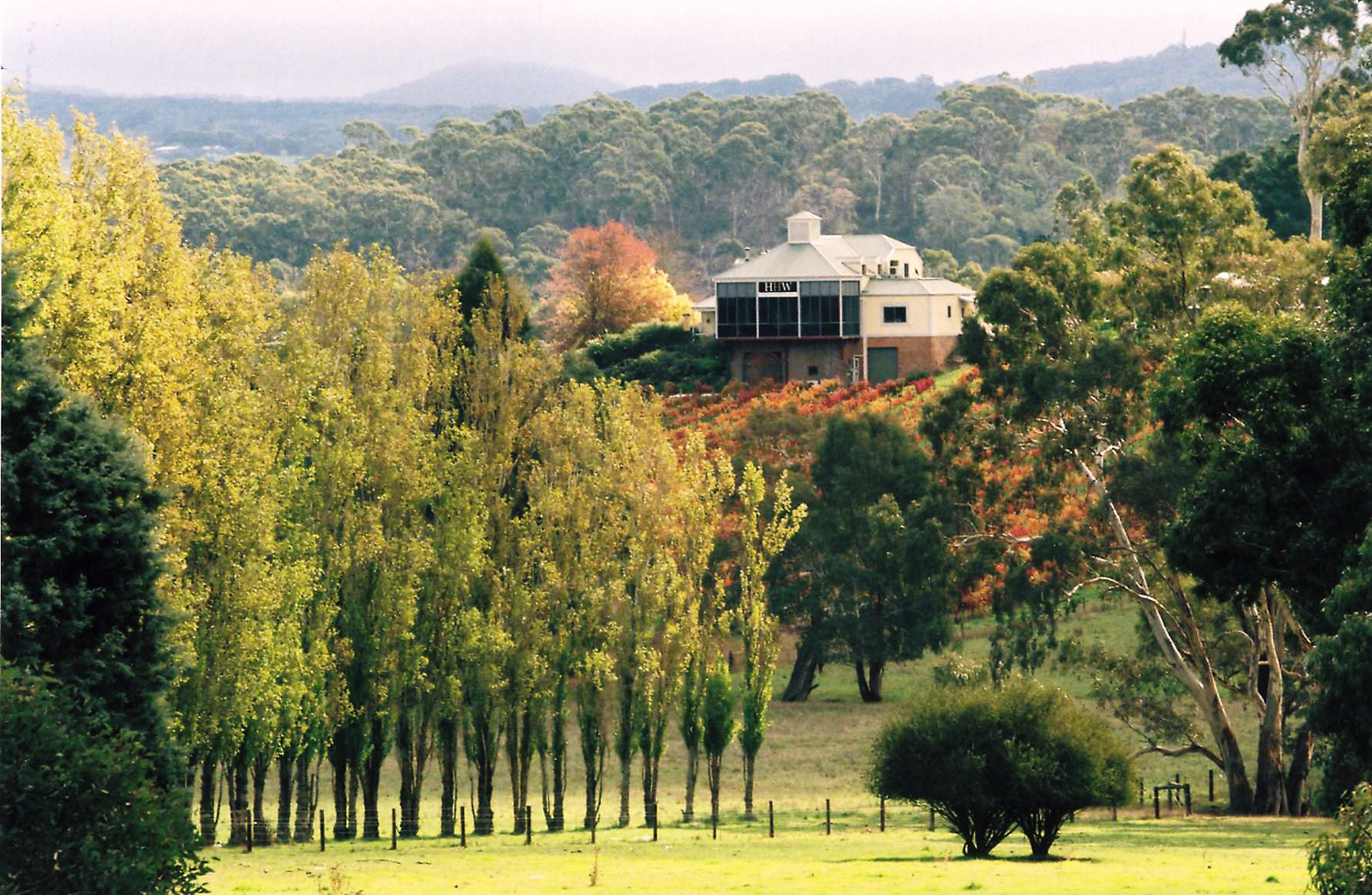 How natural wine took root in the Adelaide Hills